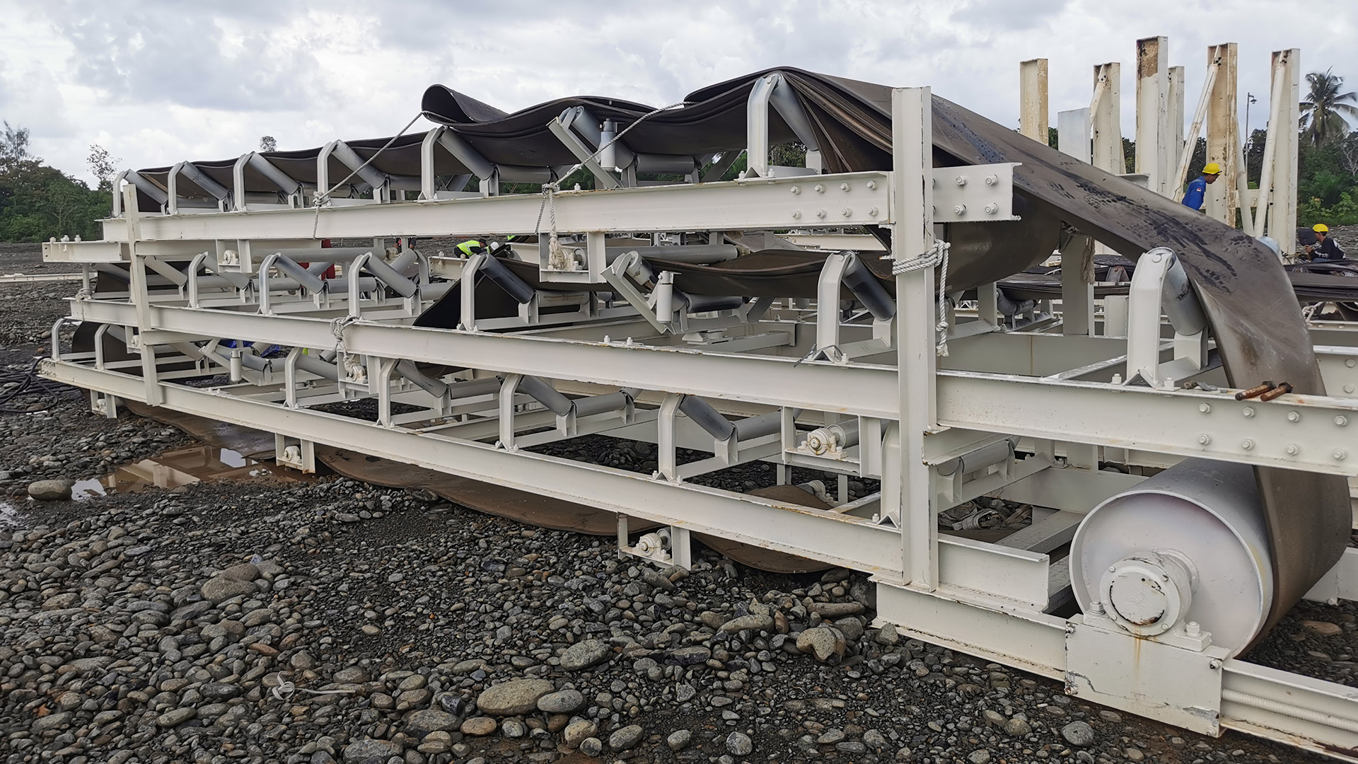 ��8ͷ�����(�й���½)-�ٷ���վ