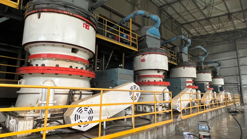 ��8ͷ�����(�й���½)-�ٷ���վ