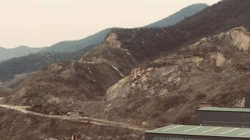 ��8ͷ�����(�й���½)-�ٷ���վ