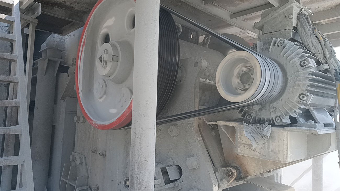 ��8ͷ�����(�й���½)-�ٷ���վ