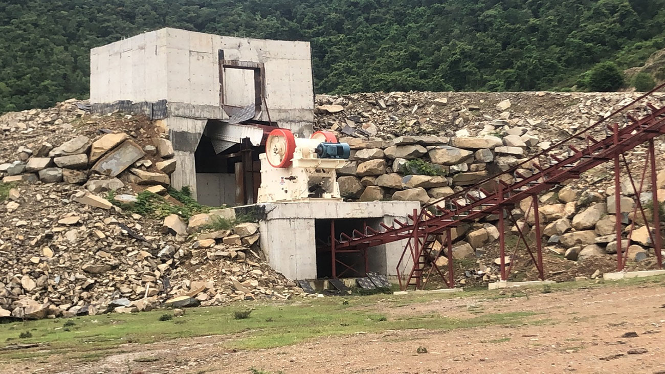 ��8ͷ�����(�й���½)-�ٷ���վ