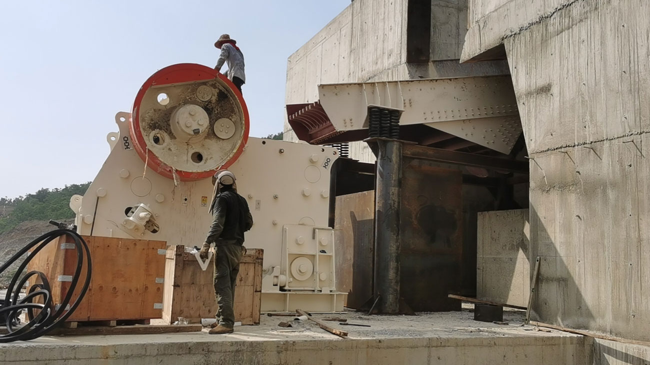 ��8ͷ�����(�й���½)-�ٷ���վ