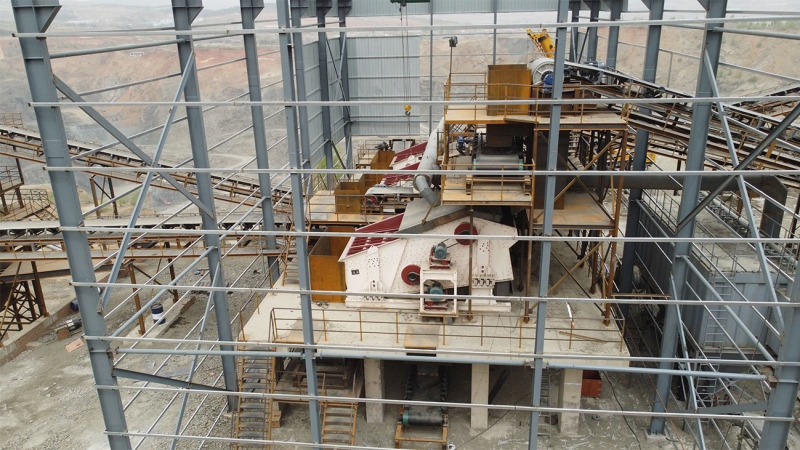 ��8ͷ�����(�й���½)-�ٷ���վ