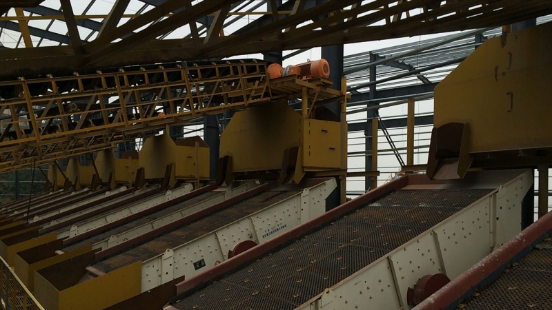 ��8ͷ�����(�й���½)-�ٷ���վ