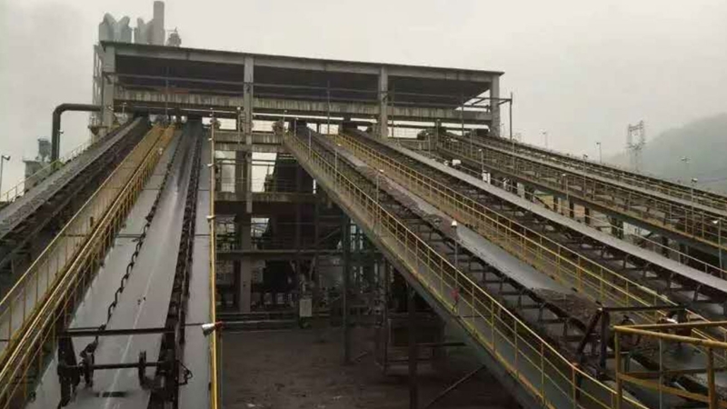 ��8ͷ�����(�й���½)-�ٷ���վ